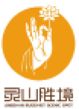 Partner 7